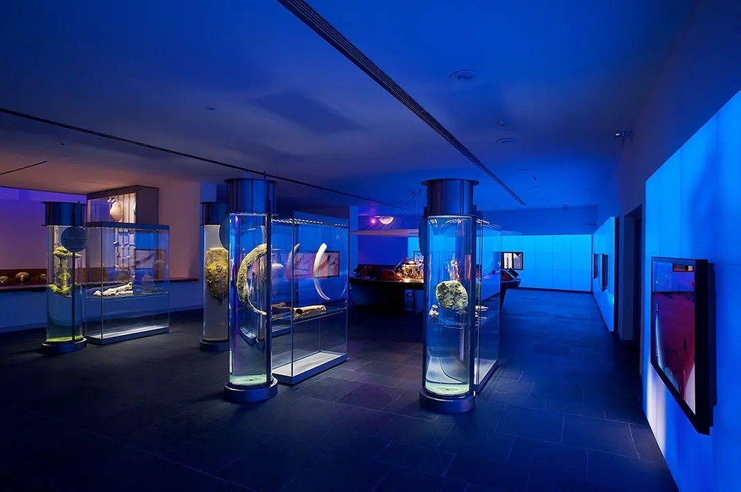 展覽展區(qū) ， 展覽 ， 展區(qū) ， 鑫時(shí)空